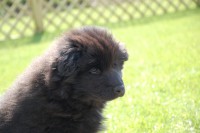 /album/fotogalerie/benkio-065-jpg/