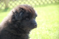 /album/fotogalerie/benkio-067-jpg/