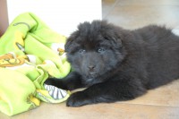 /album/fotogalerie/benkio-050-jpg/